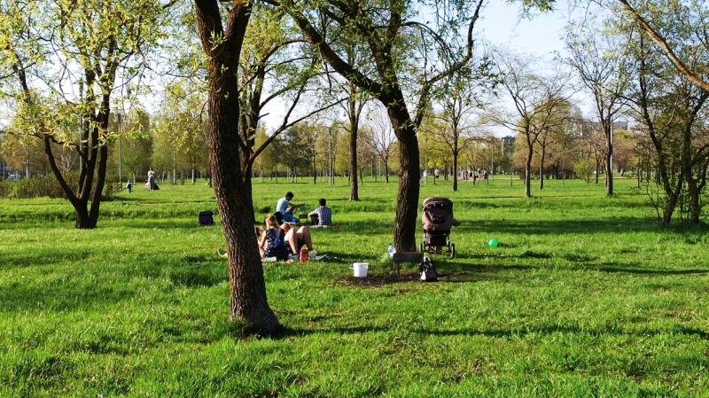 И нам, и вам: петербуржцы предложили способы сохранить парки для шашлычников