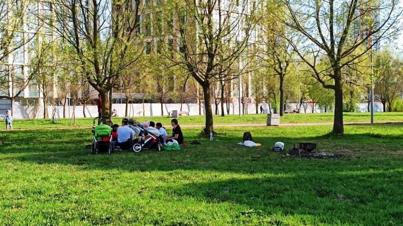 И нам, и вам: петербуржцы предложили способы сохранить парки для шашлычников