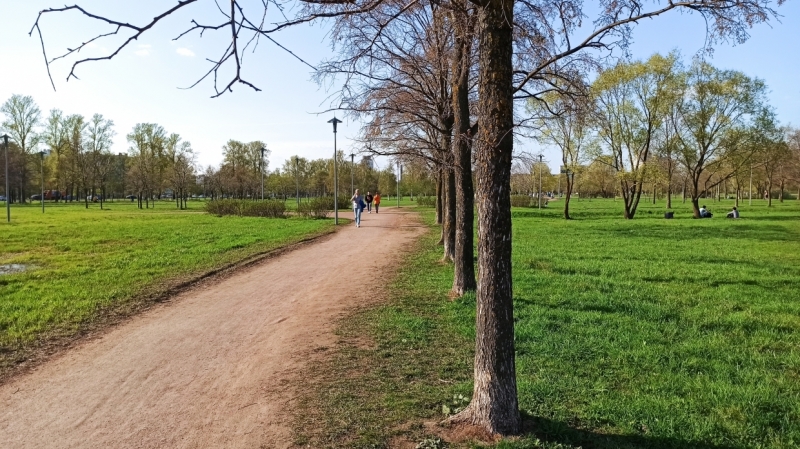 И нам, и вам: петербуржцы предложили способы сохранить парки для шашлычников