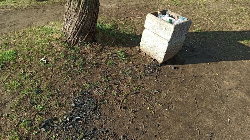 И нам, и вам: петербуржцы предложили способы сохранить парки для шашлычников