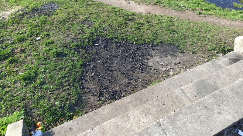 И нам, и вам: петербуржцы предложили способы сохранить парки для шашлычников