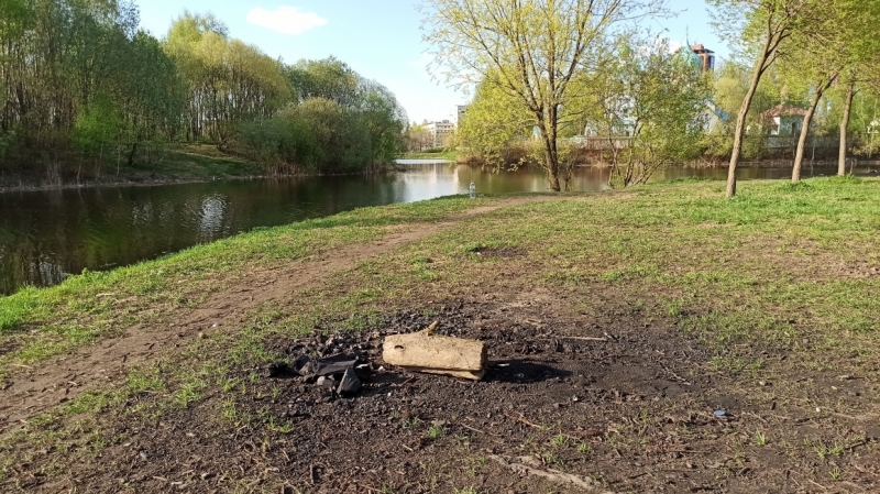 И нам, и вам: петербуржцы предложили способы сохранить парки для шашлычников
