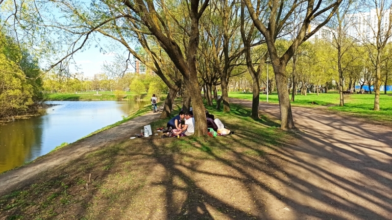 И нам, и вам: петербуржцы предложили способы сохранить парки для шашлычников