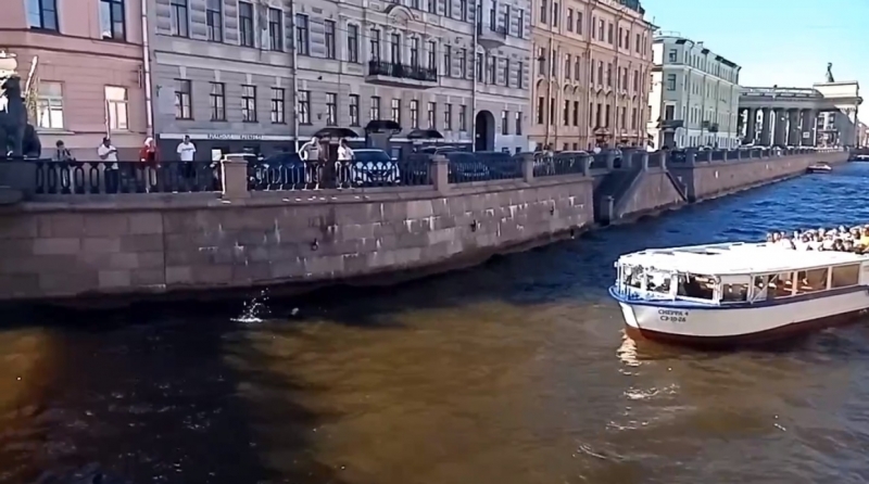 Испанский болельщик нырнул в канал Грибоедова и оказался на пути у катера