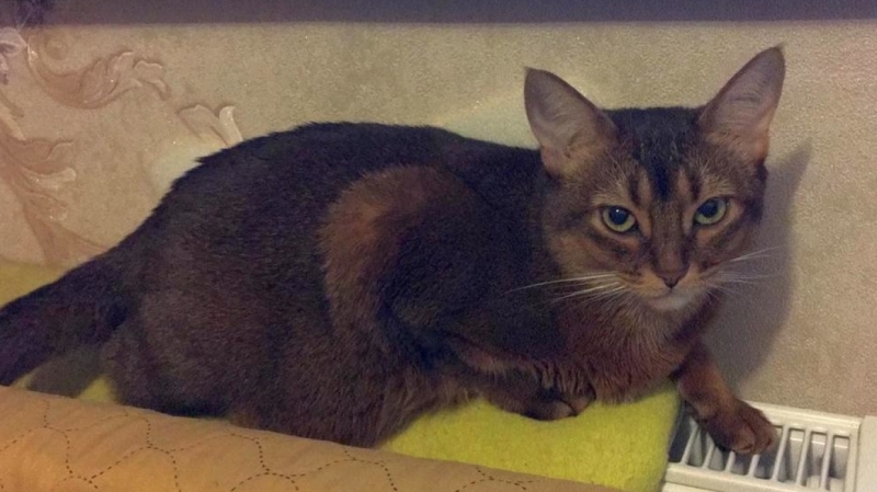 Как система погодного регулирования поможет сэкономить на отоплении