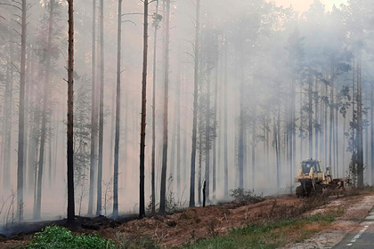 Климатический план спасения России раскритиковали