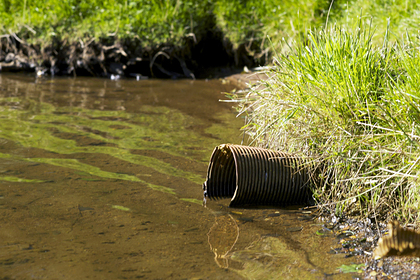 Коммунальщиков оштрафовали за отравление Дона нечистотами