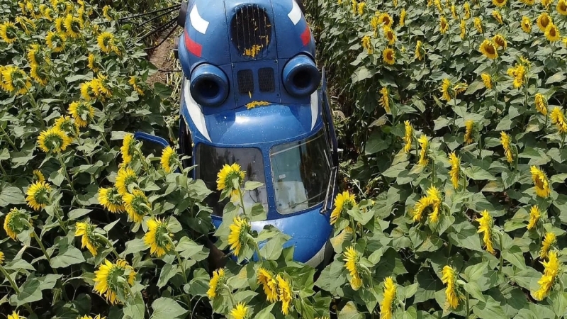 Крушение Ми-2 и 1,8 млдр от правительства на экологию: главные новости к этому часу