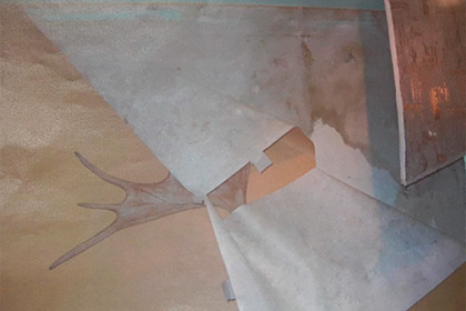 Квартира известного российского спортсмена оказалась непригодной для жизни