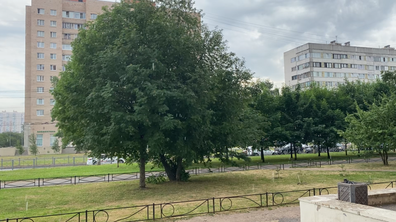 Ливень обошел стороной некоторые районы и не порадовал «горячих» от жары петербуржцев