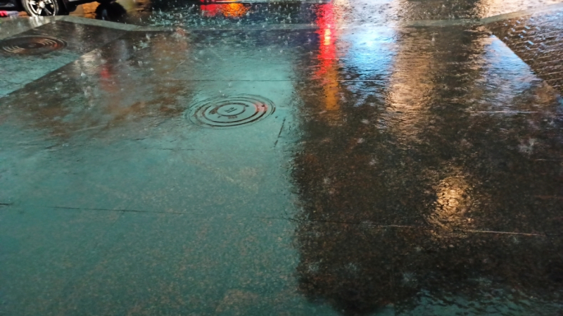 МЧС объявило в Ленобласти штормовое предупреждение