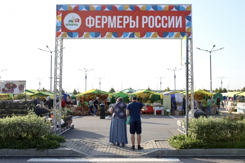 Мед, грибы, свежие овощи: что предлагают покупателям на выставке-ярмарке «Агрорусь»