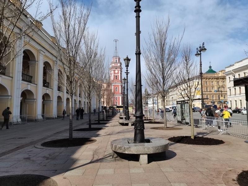 Мелколистные липы украсили территорию у Гостиного двора