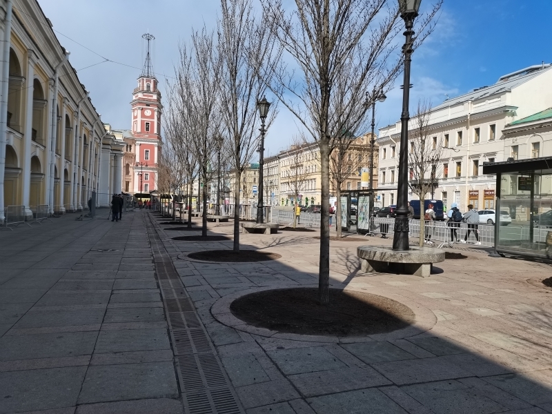 Мелколистные липы украсили территорию у Гостиного двора