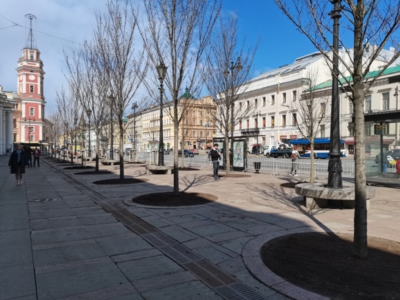 Мелколистные липы украсили территорию у Гостиного двора