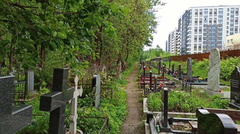 Мертвые бродят среди живых: одно занятие категорически запрещено на кладбище