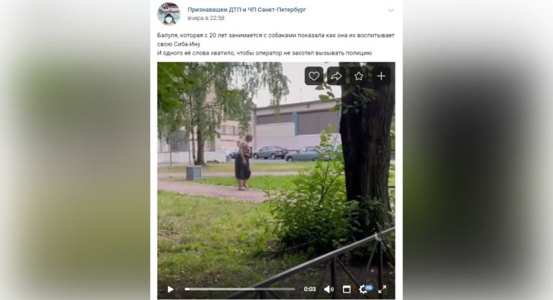 «Мерзость та еще»: женщина избила свою собаку и нахамила очевидцам в Петербурге