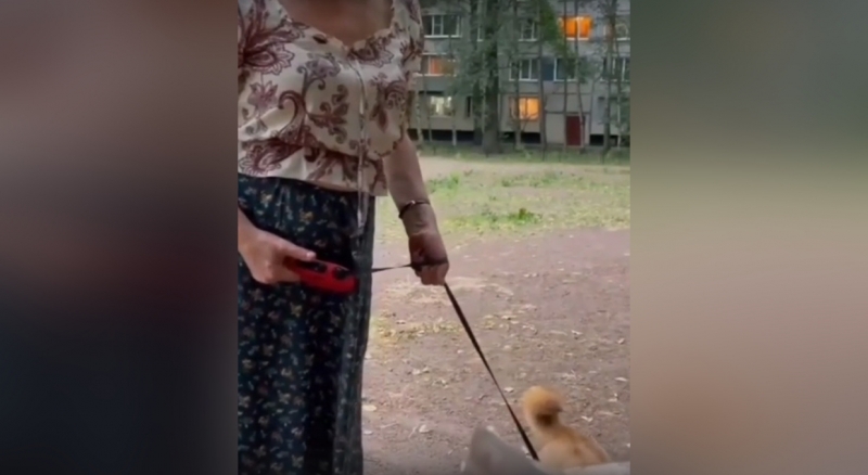 «Мерзость та еще»: женщина избила свою собаку и нахамила очевидцам в Петербурге