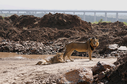Мировой бизнес признал смертельный ущерб планете