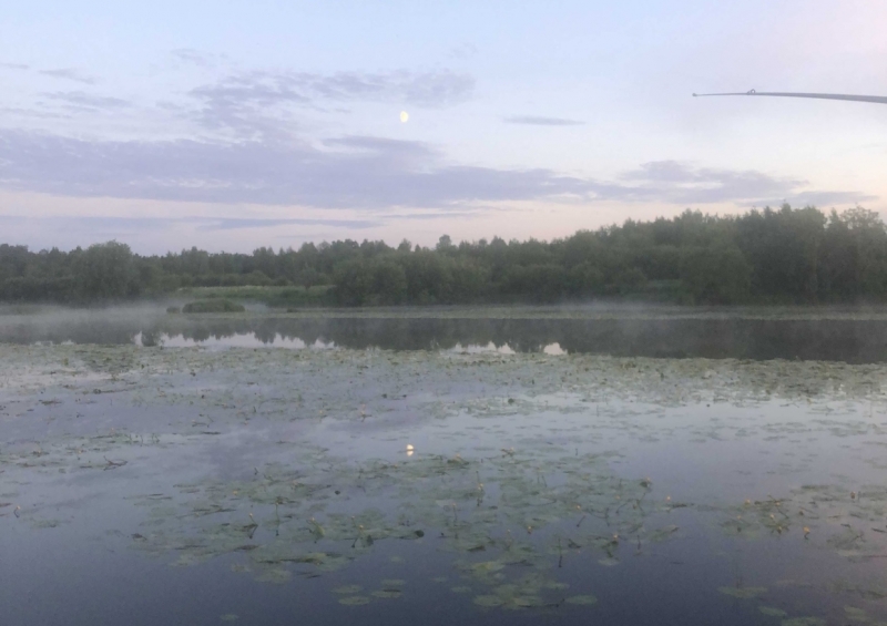Мужчина утонул во время занятий спортом на Северной Двине