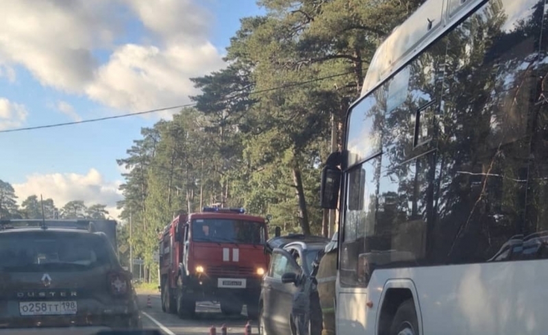 МВД организовало проверку после аварии с автобусом у поселка Большая Ижора