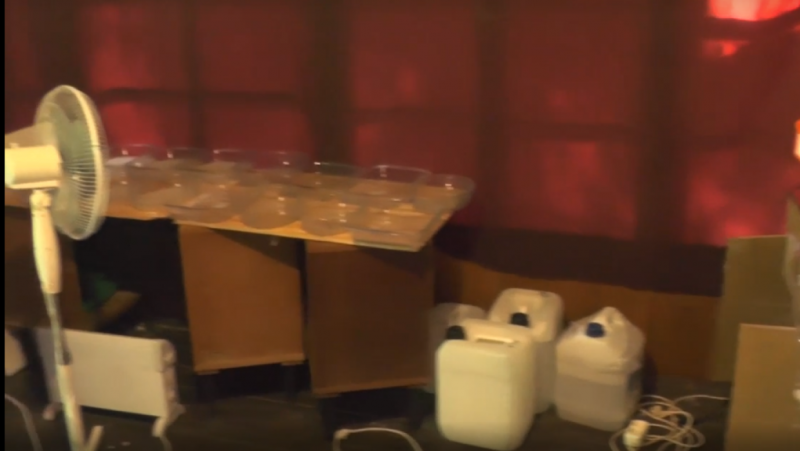 МВД закончило расследование дела хозяев «мефедроновой лаборатории» в Белоострове