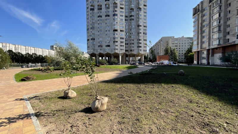 На Васильевском острове появится сквер «Осенний марафон»