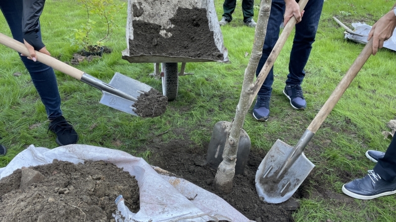 На Васильевском острове появится сквер «Осенний марафон»