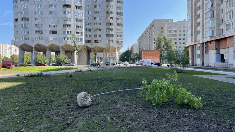 На Васильевском острове появится сквер «Осенний марафон»