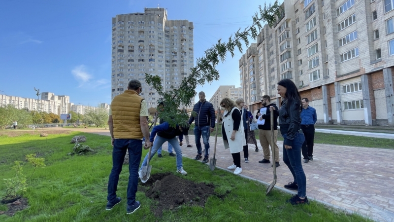На Васильевском острове появится сквер «Осенний марафон»