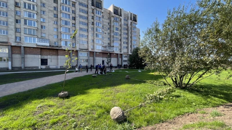 На Васильевском острове появится сквер «Осенний марафон»