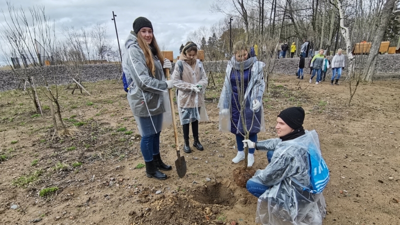 Названы петербургские районы-лидеры Дня благоустройства