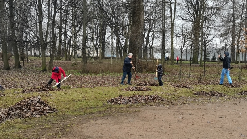 Названы петербургские районы-лидеры Дня благоустройства