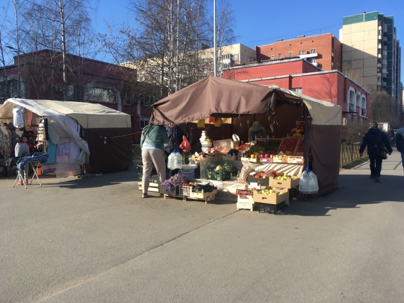 Нелегальные торговые точки занижают цены на корюшку в Петербурге