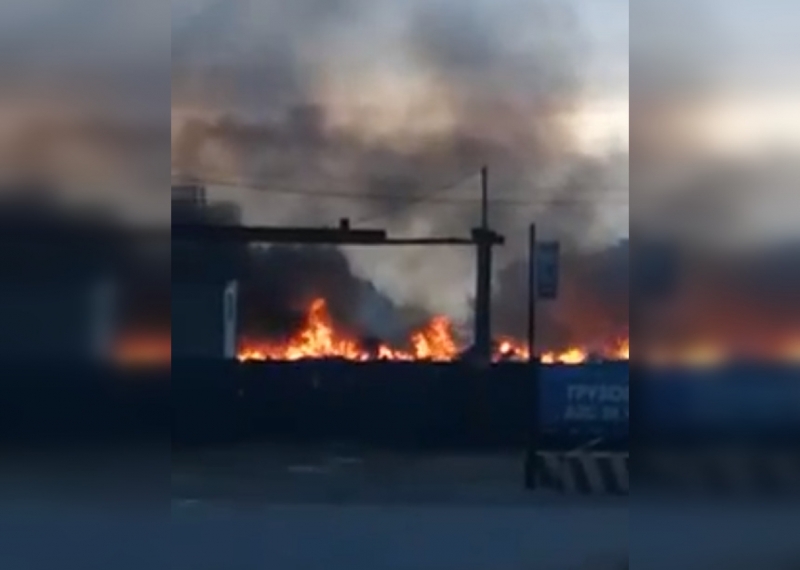 Незаконную свалку под Гатчиной охватило пламя