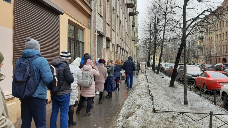 Никогда такого не было: петербуржцы оценили очередь за путевками в детские лагеря