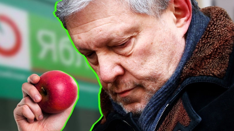 Новгородское «Яблоко» приостановило предвыборную кампанию