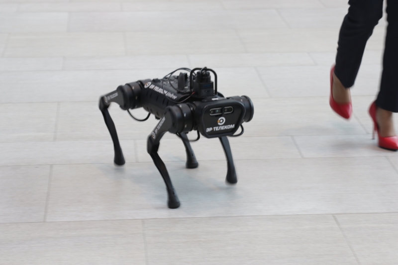 «Нулевой» день ПМЭФ-2021 в фотографиях: как это было