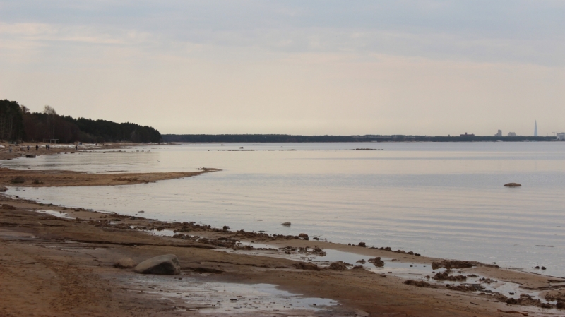 Обмеление Финского залива зафиксировали камеры «Лахта Центра»