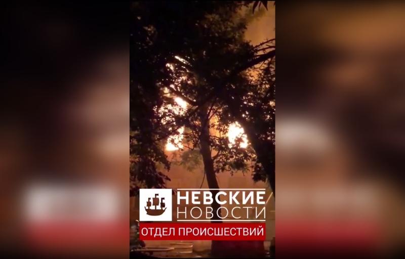 «Они еле ходят»: местные жители исключили версию с поджогом дома Дворжака бомжами. Отдел происшествий