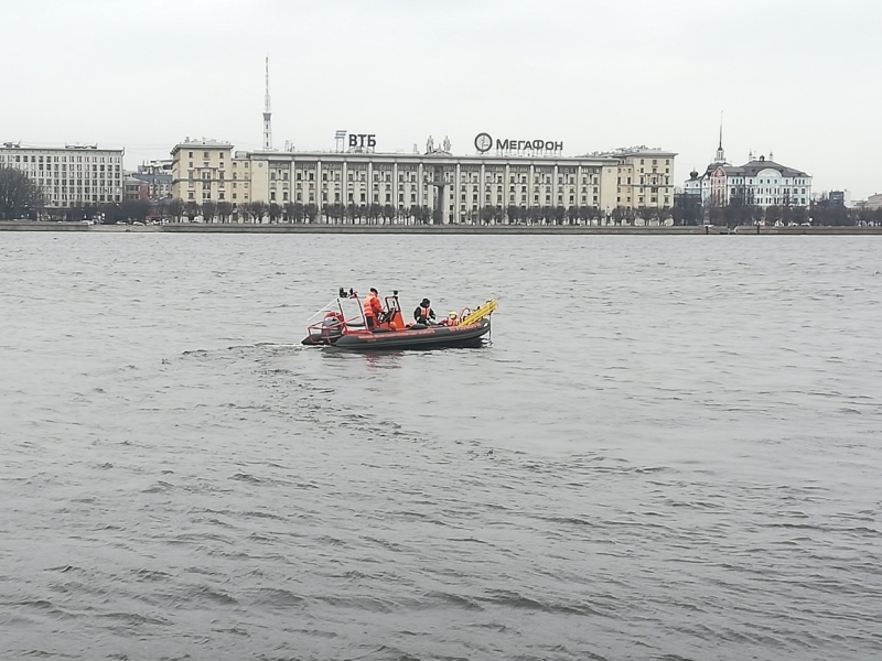 Падение мужчины с Дворцовой набережной в Неву попало на видео