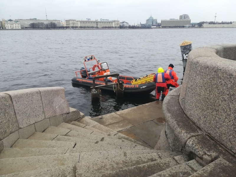 Падение мужчины с Дворцовой набережной в Неву попало на видео