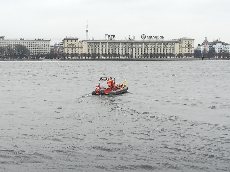 Падение мужчины с Дворцовой набережной в Неву попало на видео