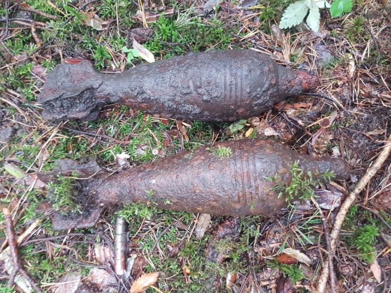 Петербуржца с гранатами задержали на станции метро «Пионерская»