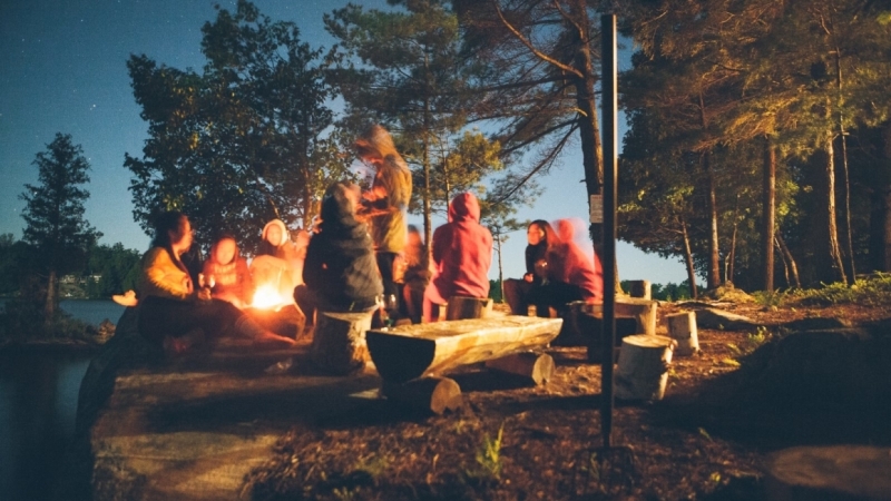 Петербуржцам назвали парки, в которых клещи нападают чаще всего