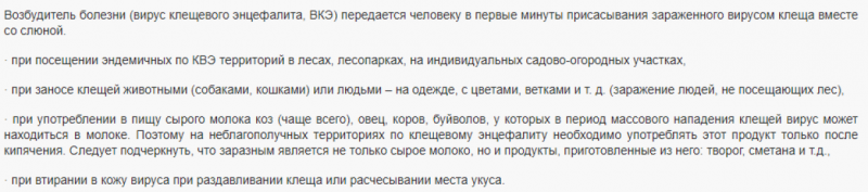 Петербуржцам назвали парки, в которых клещи нападают чаще всего