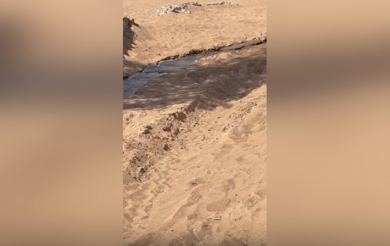 Петербуржцы пожаловались на «жутко пахнущую гадость» на пляже «Ласковый»