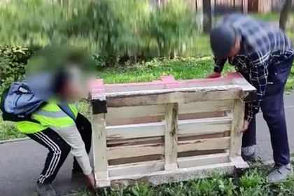 Питерские коммунальщики решили уничтожить созданный жителями сквер