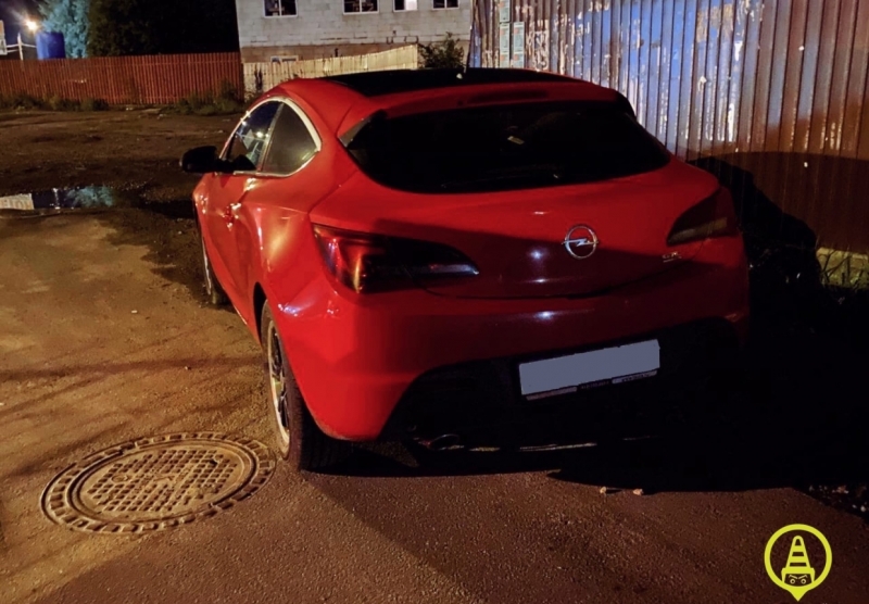 Пьяный петербуржец пытался спрятаться в кустах от сотрудников ГИБДД