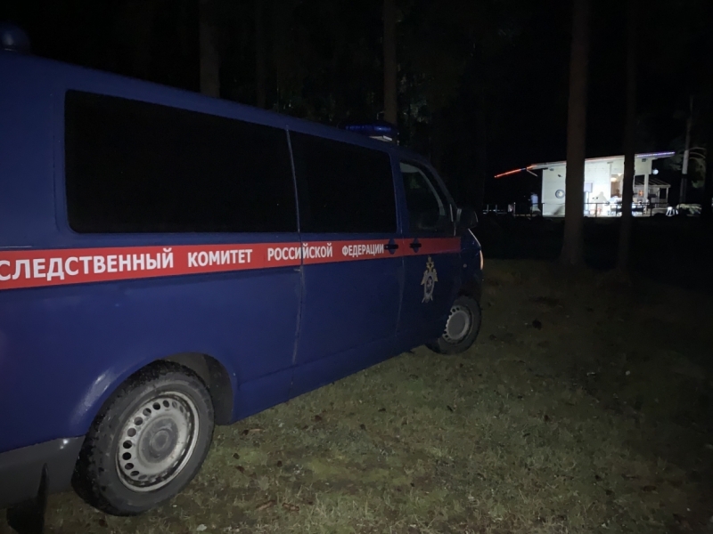 Пятилетнего жителя Ленобласти госпитализировали после падения в канализацию